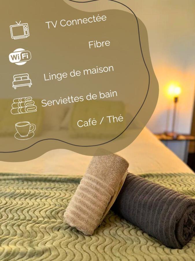 Maison Centre-ville Avec Terrasse Privee De 35m2 Appartement